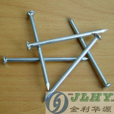 Electro Galvanized Smooth common nail