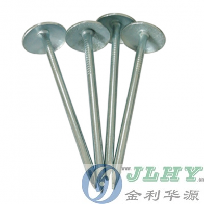 Electro Galvanized Smooth roof nail