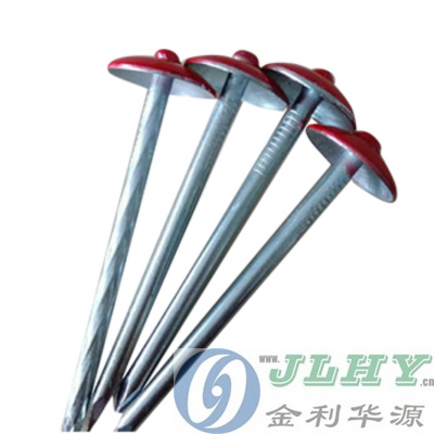 umbrella head Electro Galvanized Square Twisted roof nail