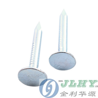 抛光光杆油毡钉
