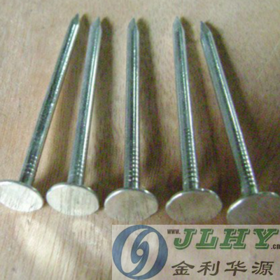 Electro Galvanized Smooth clout nail