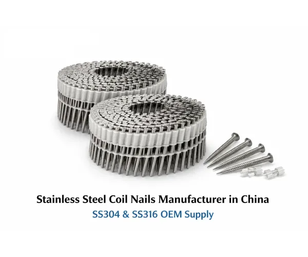 OEM Stainless Steel Coil Nails Factory in China news image